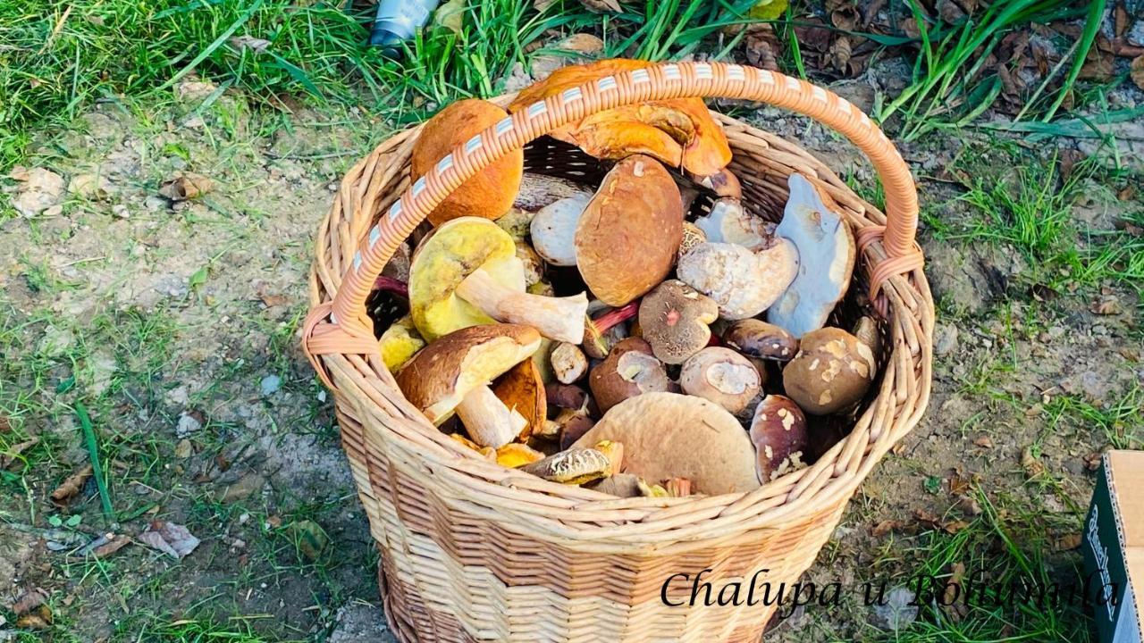 Chalupa U Bohumila Rybna nad Zdobnici Buitenkant foto