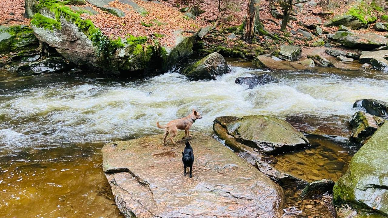 Chalupa U Bohumila Rybna nad Zdobnici Buitenkant foto