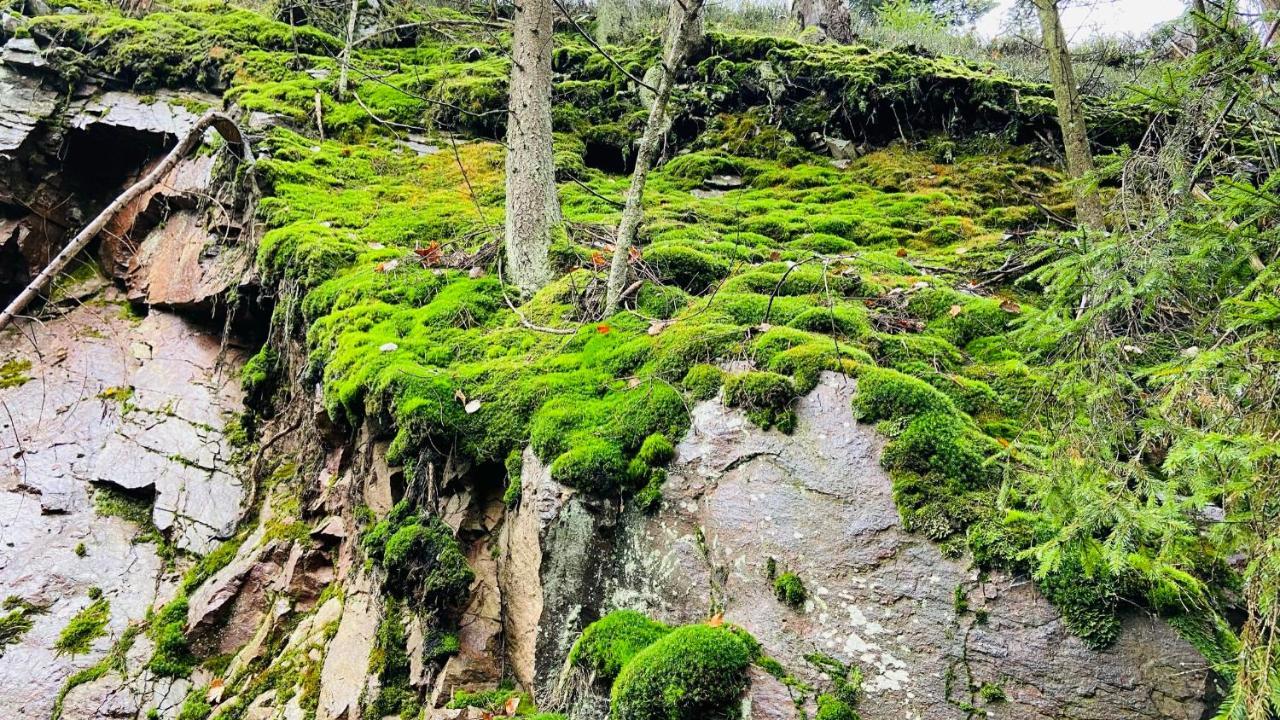Chalupa U Bohumila Rybna nad Zdobnici Buitenkant foto