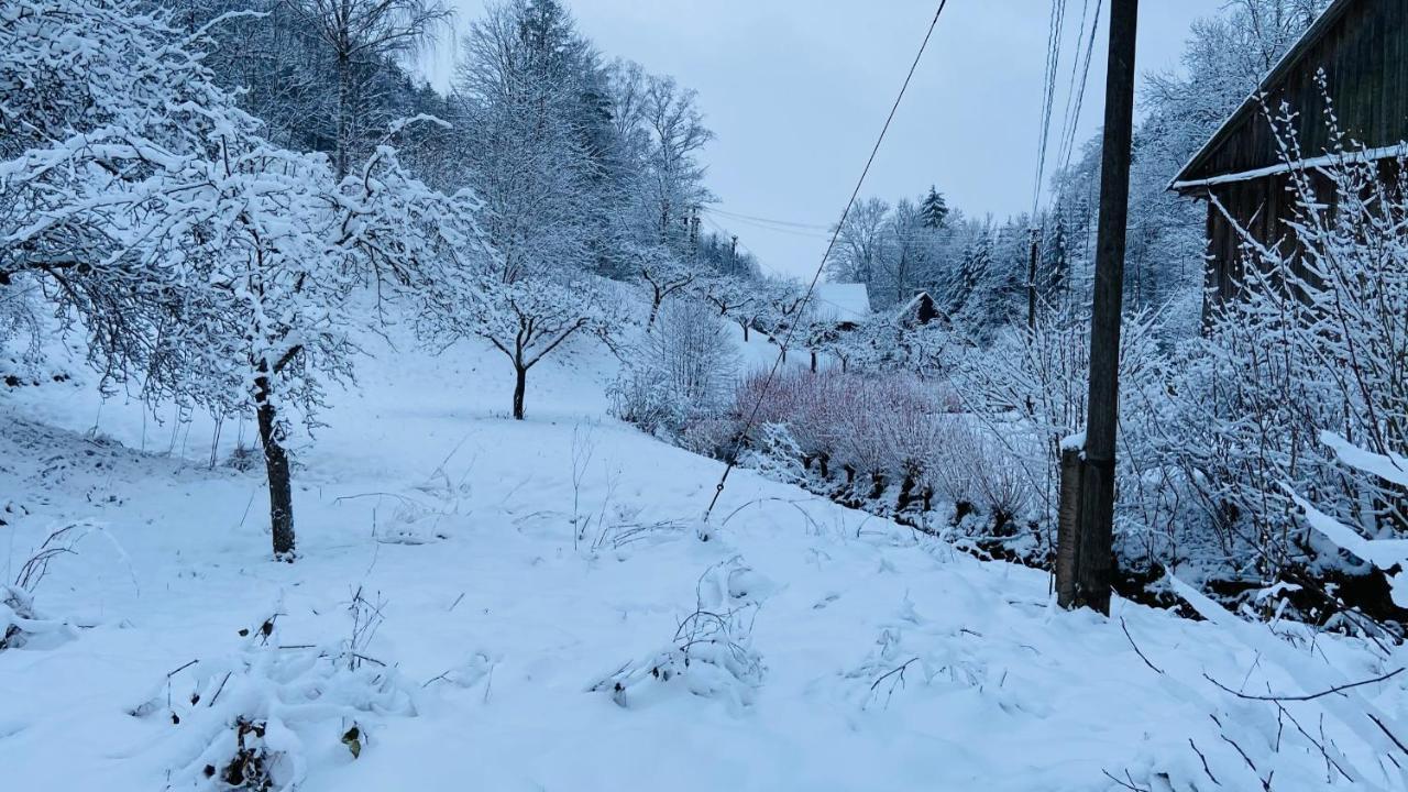 Chalupa U Bohumila Rybna nad Zdobnici Buitenkant foto